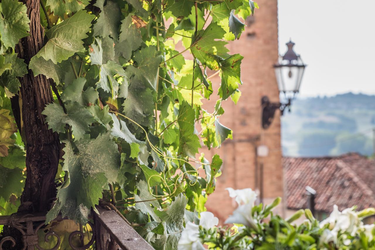 B&B Antico Tralcio Antignano  Exteriör bild