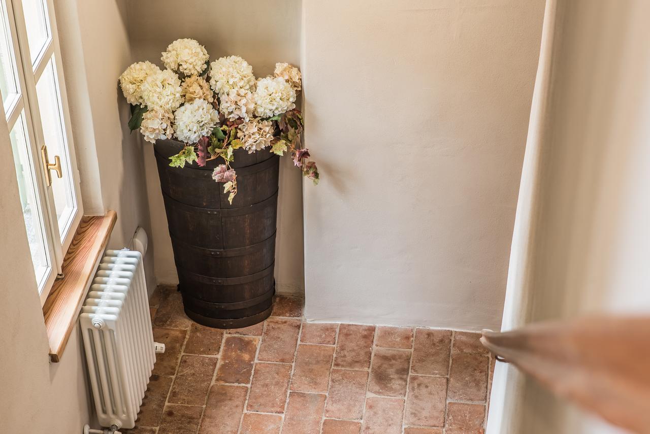 B&B Antico Tralcio Antignano  Exteriör bild
