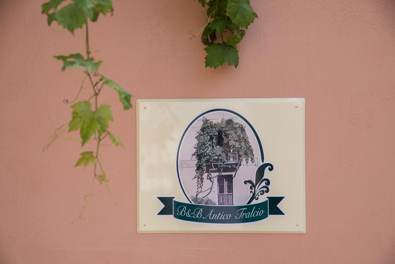 B&B Antico Tralcio Antignano  Exteriör bild