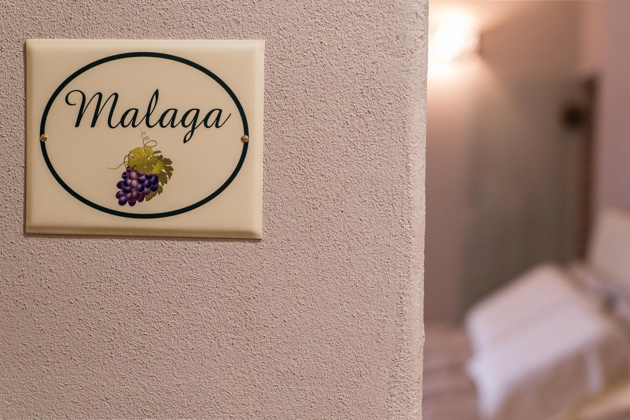 B&B Antico Tralcio Antignano  Exteriör bild